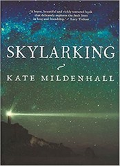 SKYLARKING